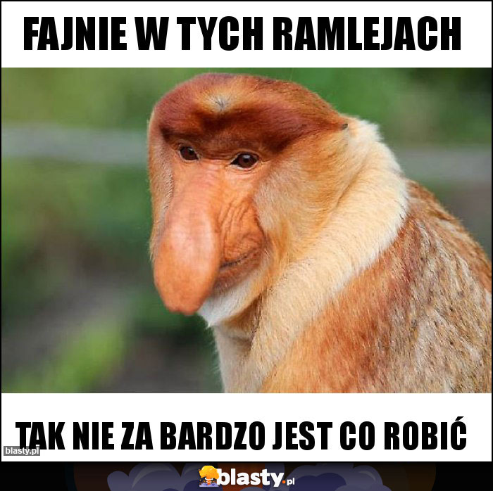 Fajnie w tych Ramlejach