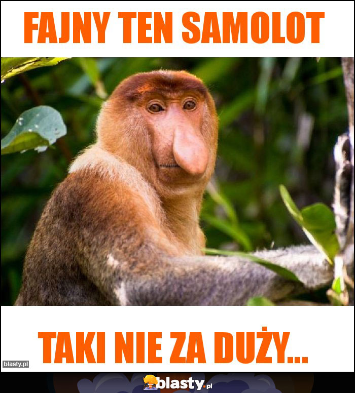 Fajny ten samolot