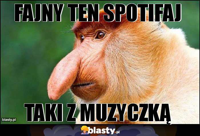 Fajny ten spotifaj