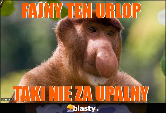 Fajny ten urlop