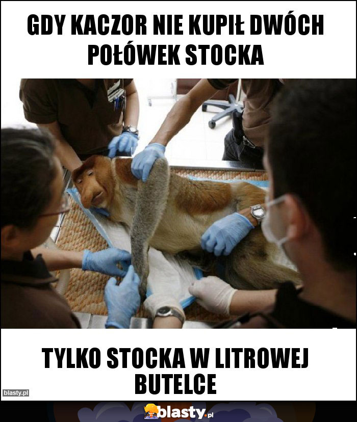 Gdy Kaczor nie kupił dwóch połówek Stocka