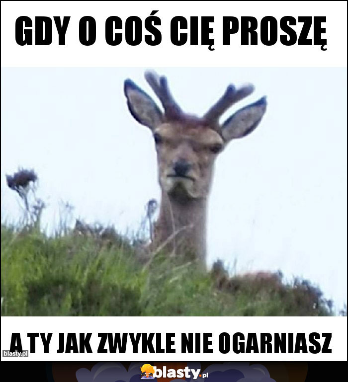 Gdy o coś Cię proszę