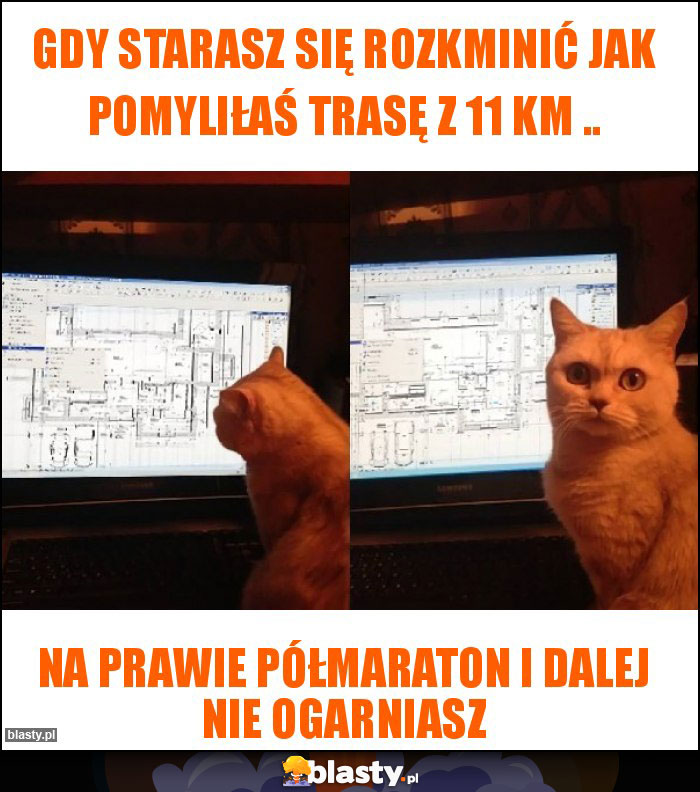 Gdy starasz się rozkminić jak pomyliłaś trasę z 11 km ..