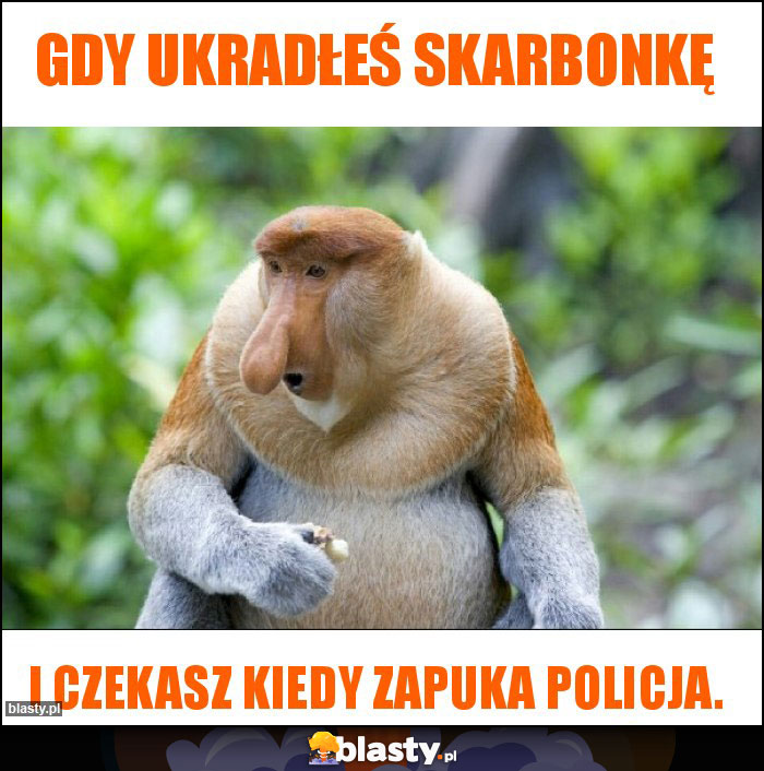 Gdy ukradłeś skarbonkę