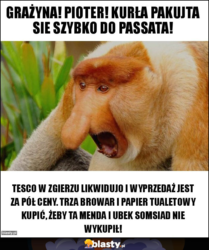 Grażyna! Pioter! Kurła pakujta sie szybko do passata!