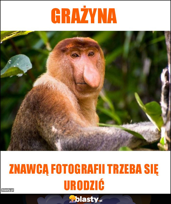 Grażyna