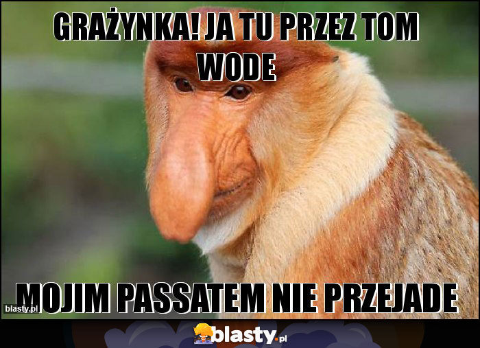 Grażynka! Ja tu przez tom wode