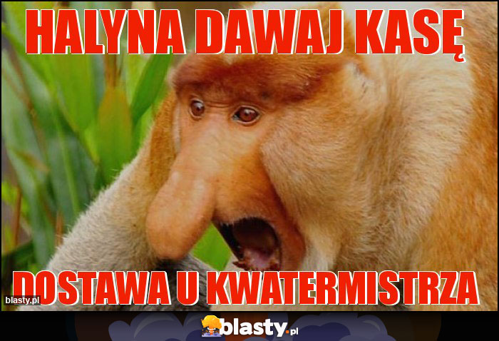 HALYNA DAWAJ KASĘ