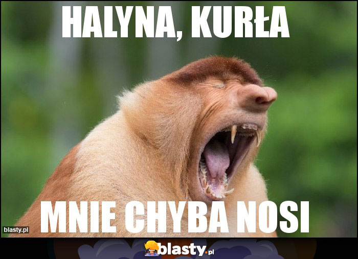 Halyna, kurła