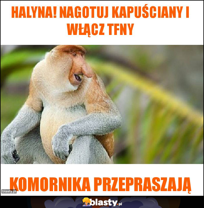 Halyna! Nagotuj kapuściany i włącz TFNy