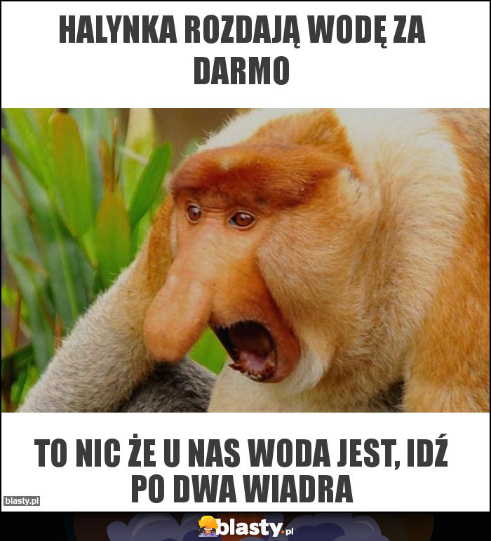 Halynka rozdają wodę za darmo