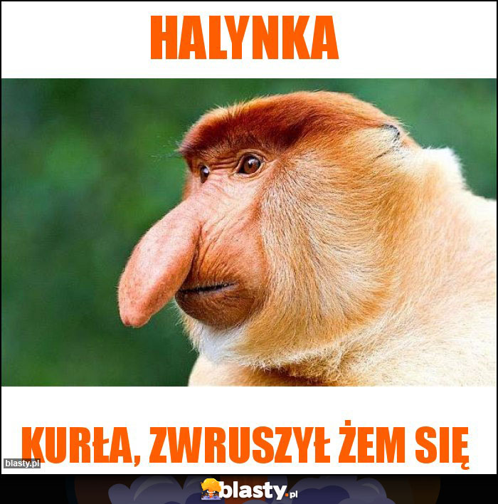 Halynka