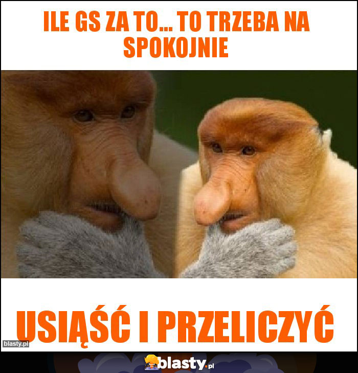 Ile GS za to... To trzeba na spokojnie