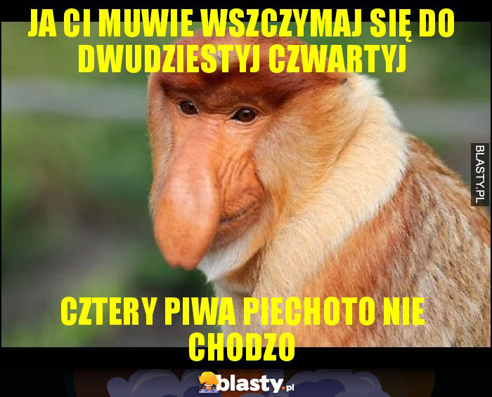 JA CI MUWIE WSZCZYMAJ SIĘ DO DWUDZIESTYJ CZWARTYJ