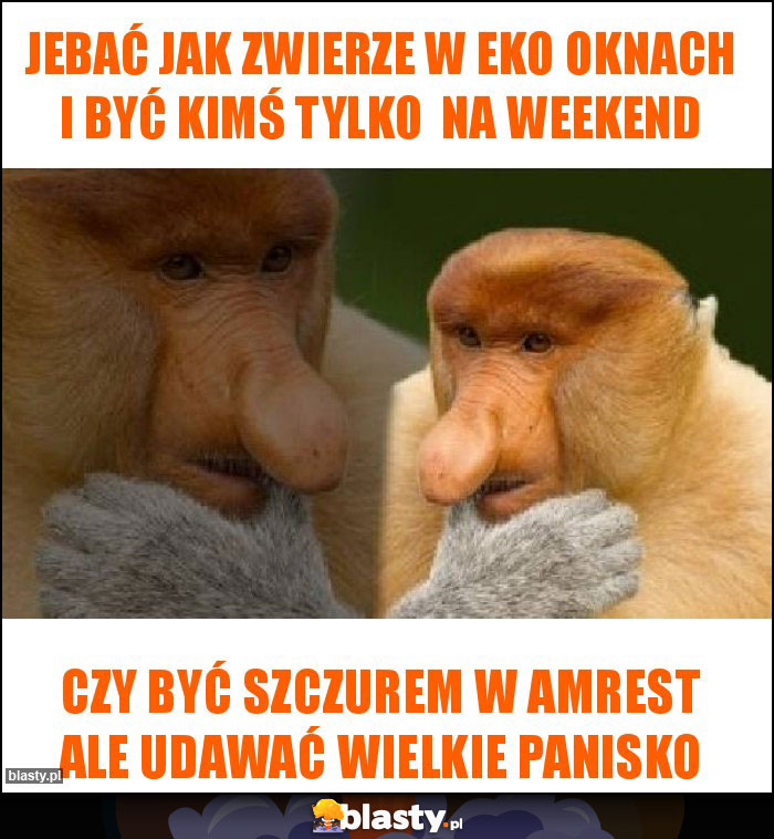 jebać jak zwierze w eko oknach i być kimś tylko  na weekend