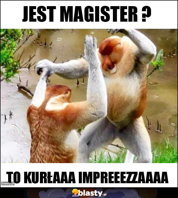 Jest magister ?