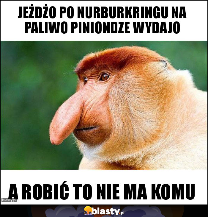 Jeżdżo po nurburkringu na paliwo piniondze wydajo