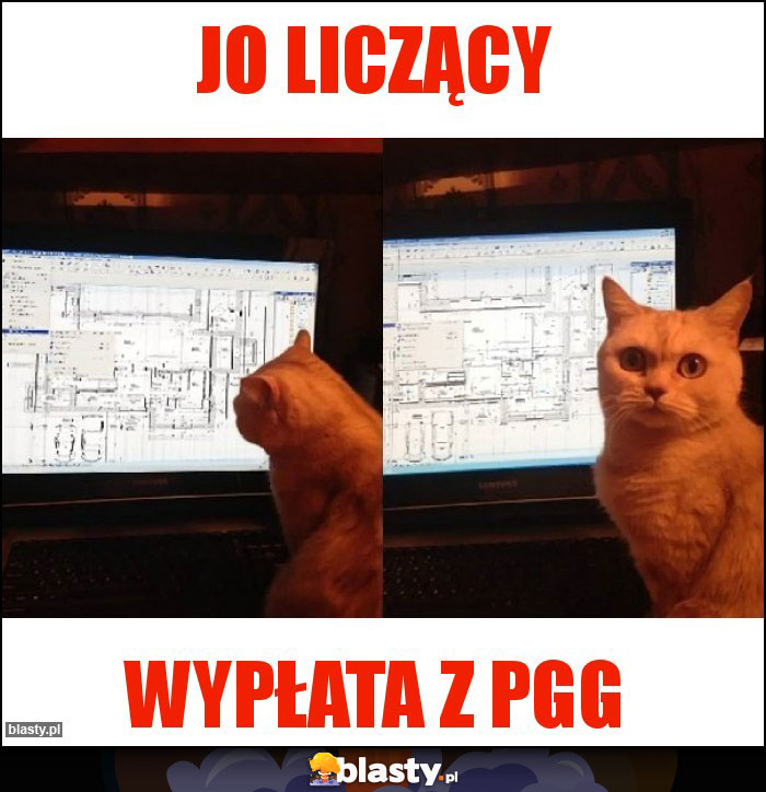 jo liczący