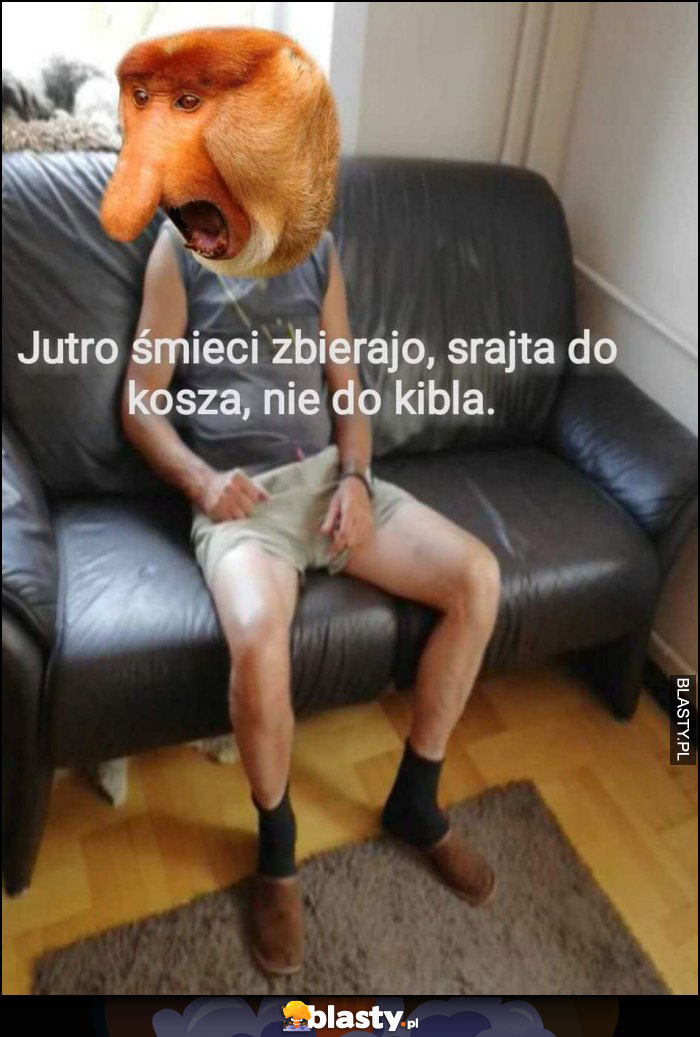 Jutro zabierają śmieci