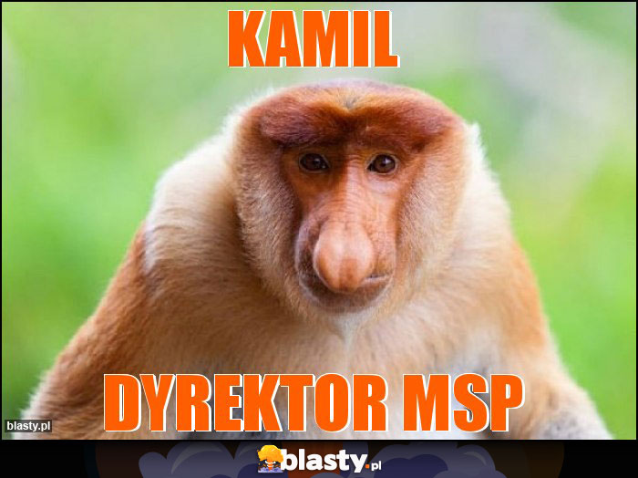 KAMIL