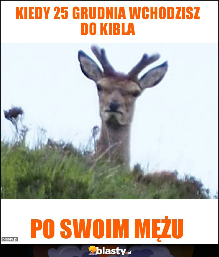 Kiedy 25 grudnia wchodzisz do kibla