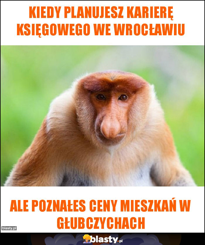 Kiedy planujesz karierę księgowego we wrocławiu