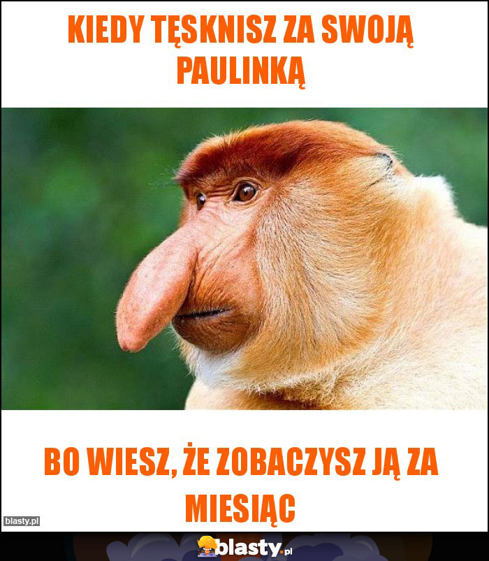 Kiedy tęsknisz za swoją Paulinką