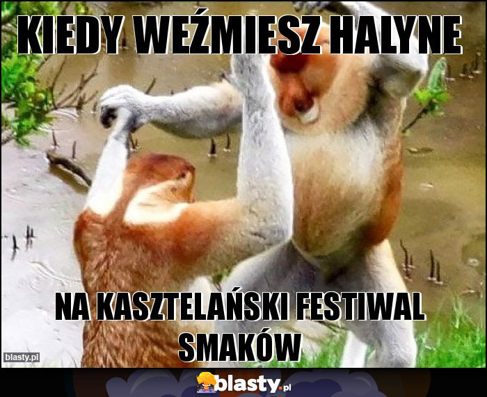 kiedy weźmiesz Halyne