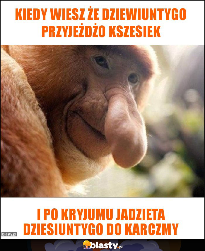 Kiedy wiesz że dziewiuntygo przyjeżdżo kszesiek