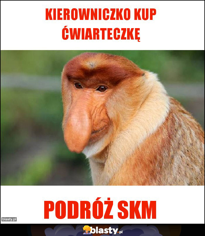 kierowniczko kup ćwiarteczkę