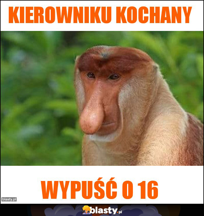 KIEROWNIKU KOCHANY