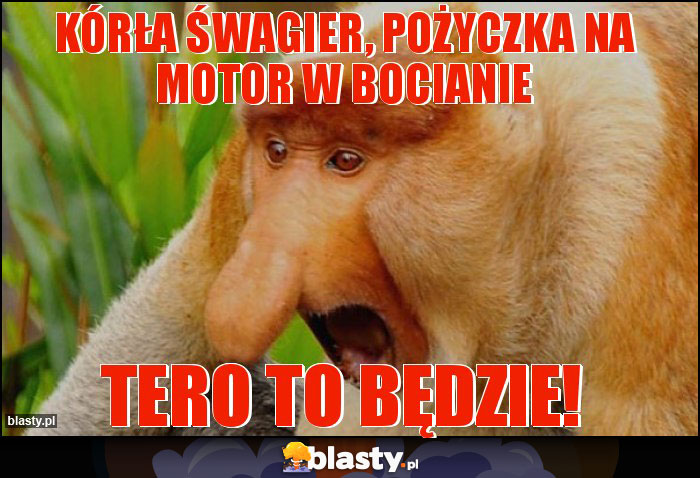 Kórła śwagier, pożyczka na motor w Bocianie