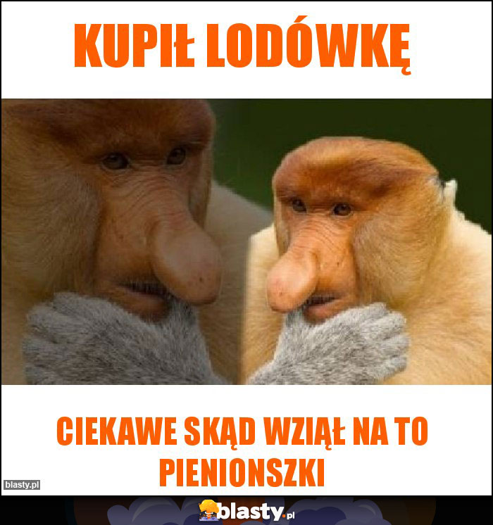 Kupił lodówkę