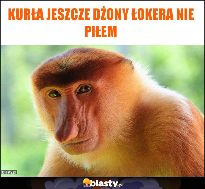 Kurła jeszcze dżony łokera nie piłem