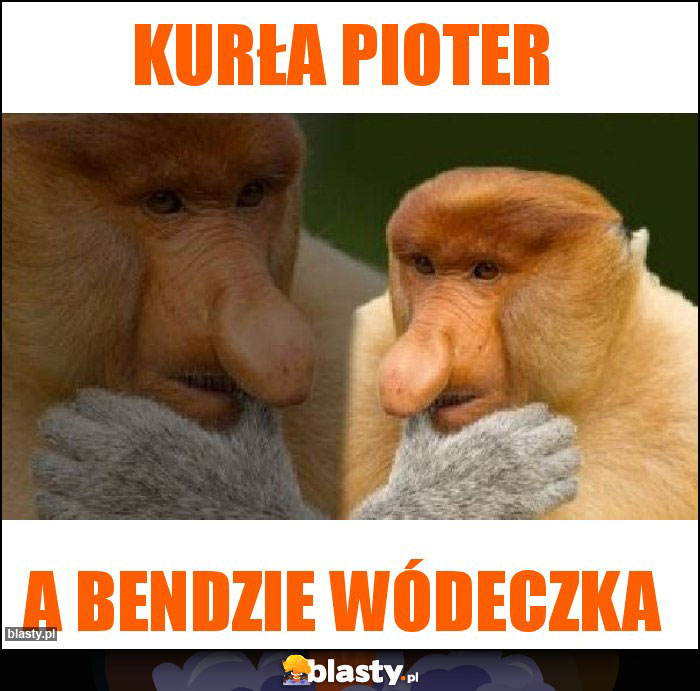 KURŁA PIOTER