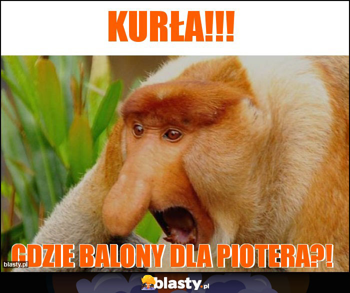 KURŁA!!!