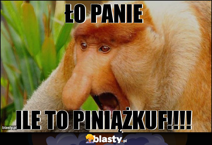 ŁO PANIE