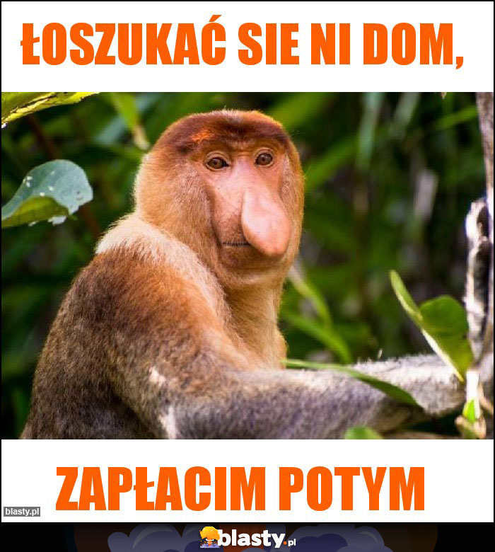 Łoszukać sie ni dom,