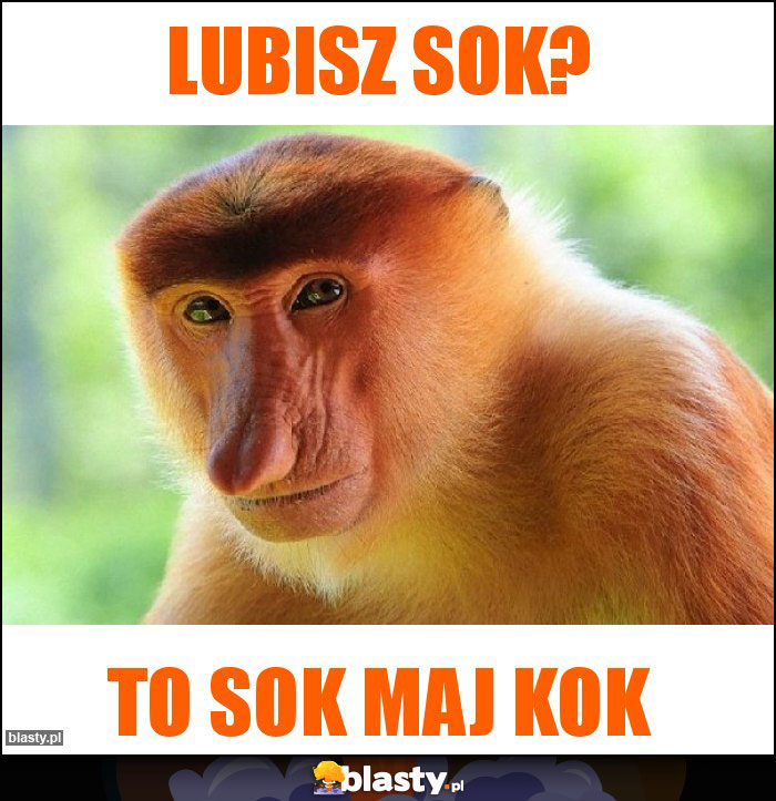 Lubisz sok?