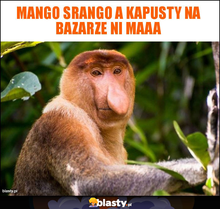 Mango Srango a kapusty na bazarze ni maaa