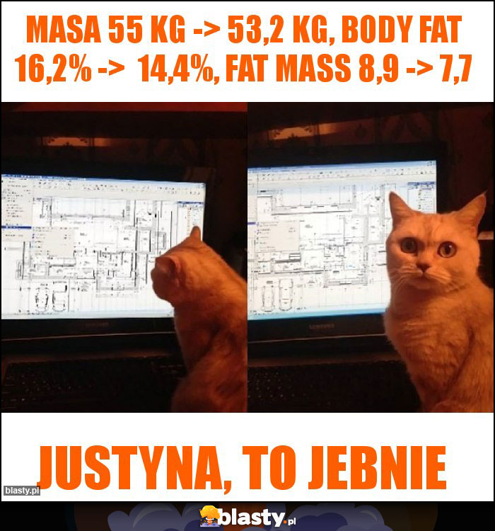 Masa 55 kg -> 53,2 kg, Body fat 16,2% ->  14,4%, fat mass 8,9 -> 7,7