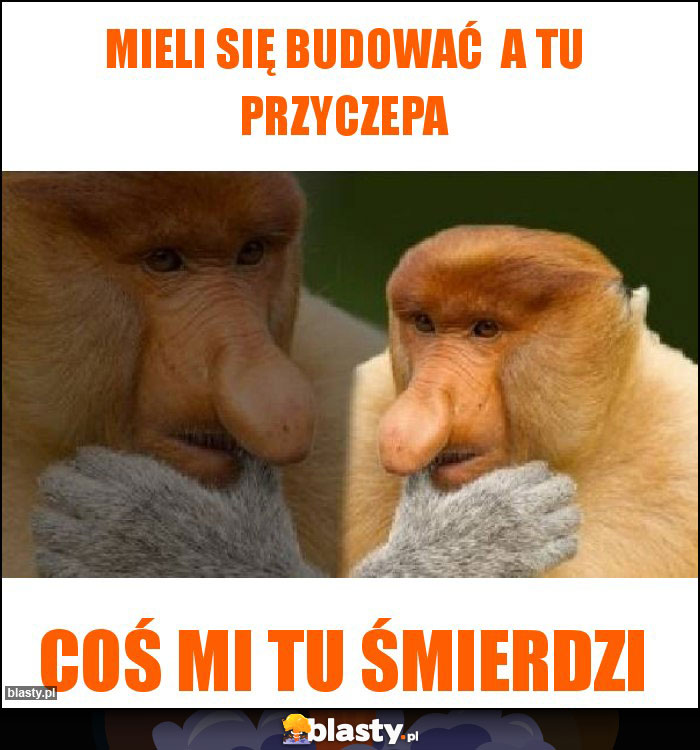 Mieli się budować  a tu przyczepa