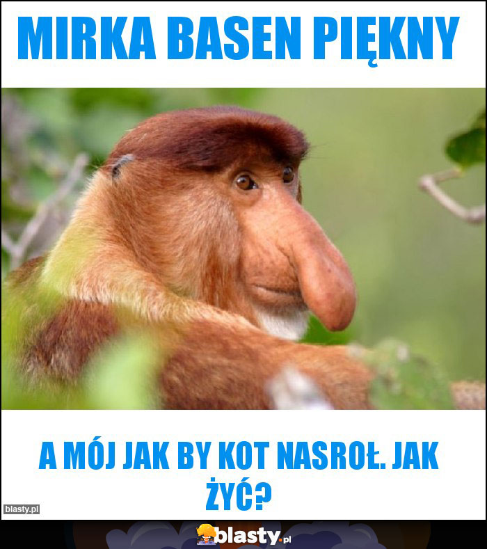 Mirka basen piękny