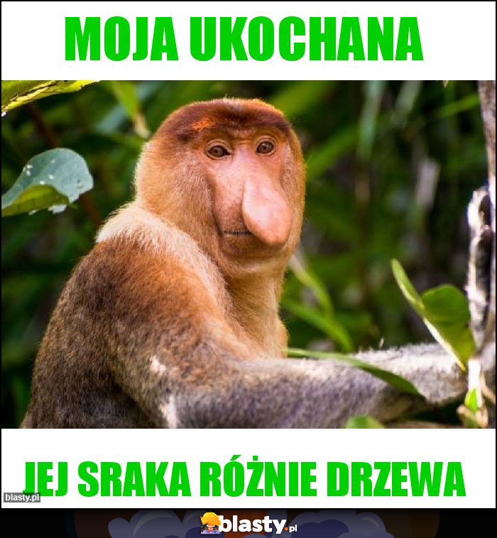 Moja ukochana