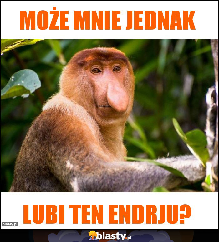 Może mnie jednak