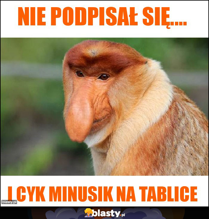 NIE PODPISAŁ SIĘ....