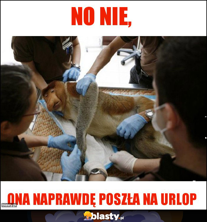 no nie,