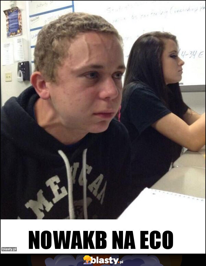 Nowakb na eco