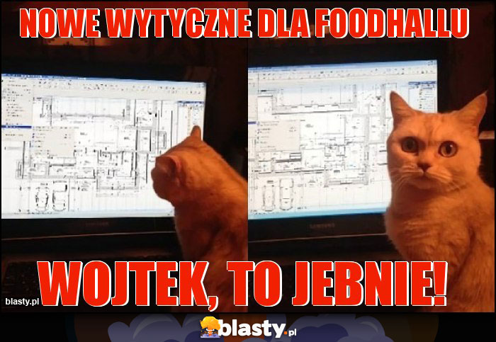 Nowe wytyczne dla Foodhallu