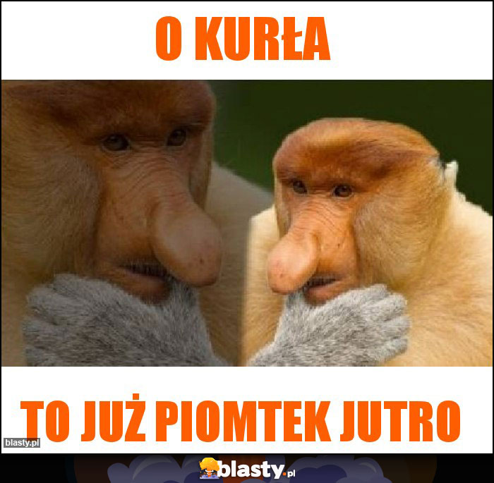 O kurła